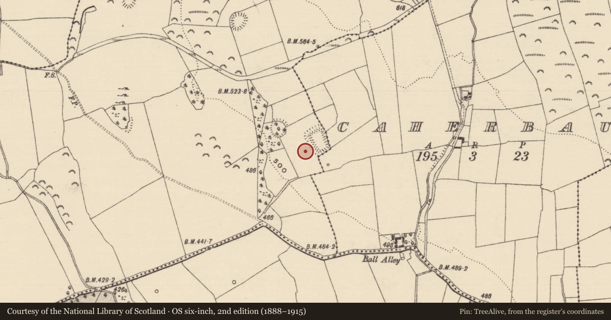 Ordnance Survey six-inch map, 2nd edition (1888–1915) covering the location of Enclosure, Ballyherberry, County Tipperary South, with a pin at the register's coordinates
