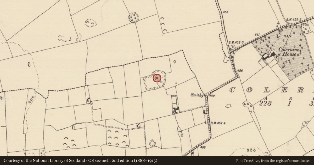Ordnance Survey six-inch map, 2nd edition (1888–1915) covering the location of Enclosure, Brickendown, County Tipperary South, with a pin at the register's coordinates