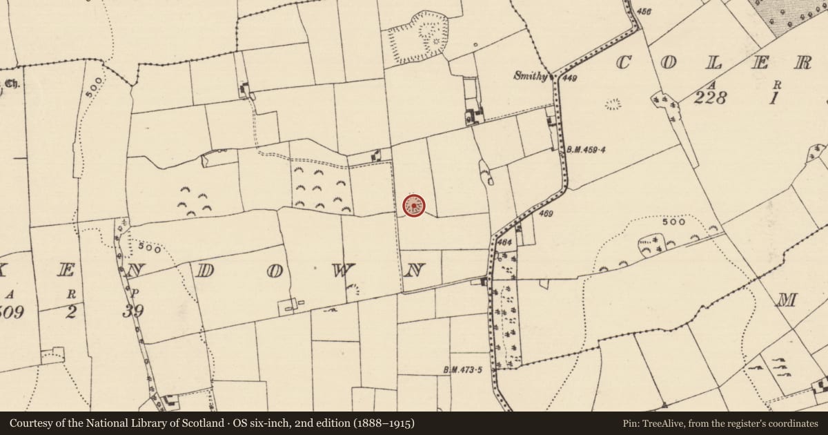Ordnance Survey six-inch map, 2nd edition (1888–1915) covering the location of Enclosure, Brickendown, County Tipperary South, with a pin at the register's coordinates