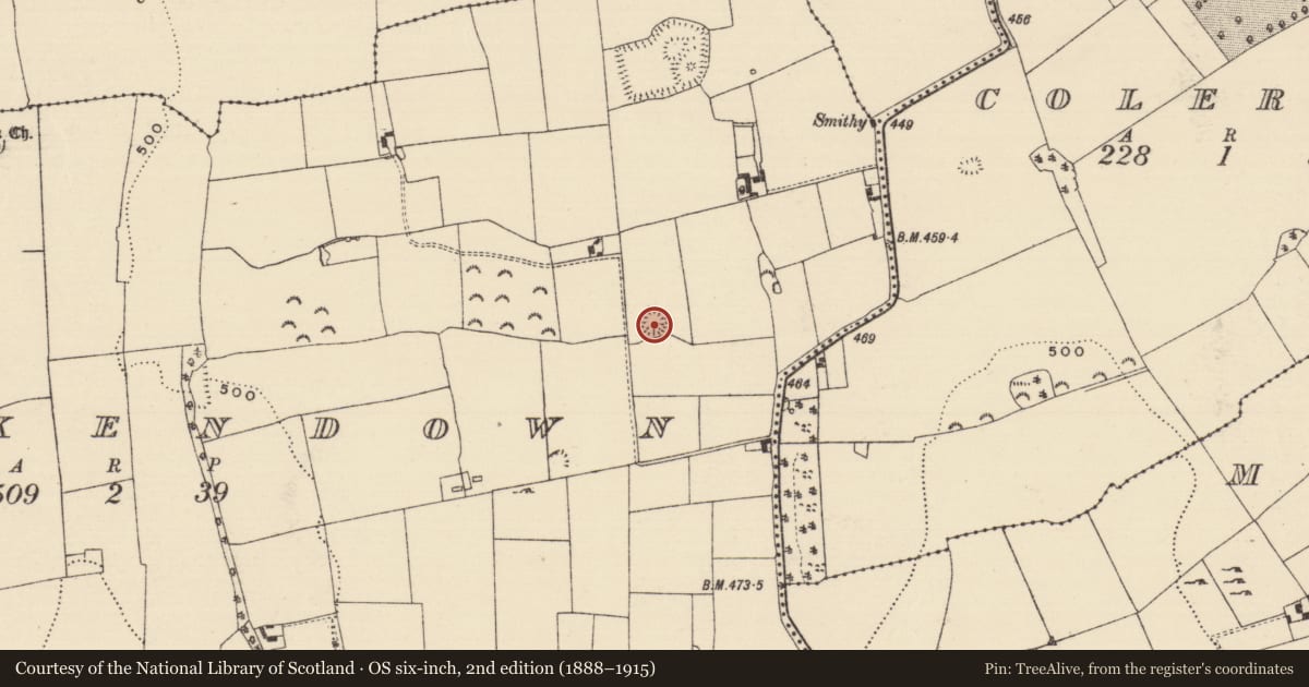 Ordnance Survey six-inch map, 2nd edition (1888–1915) covering the location of Barrow - ditch barrow, Brickendown, County Tipperary South, with a pin at the register's coordinates