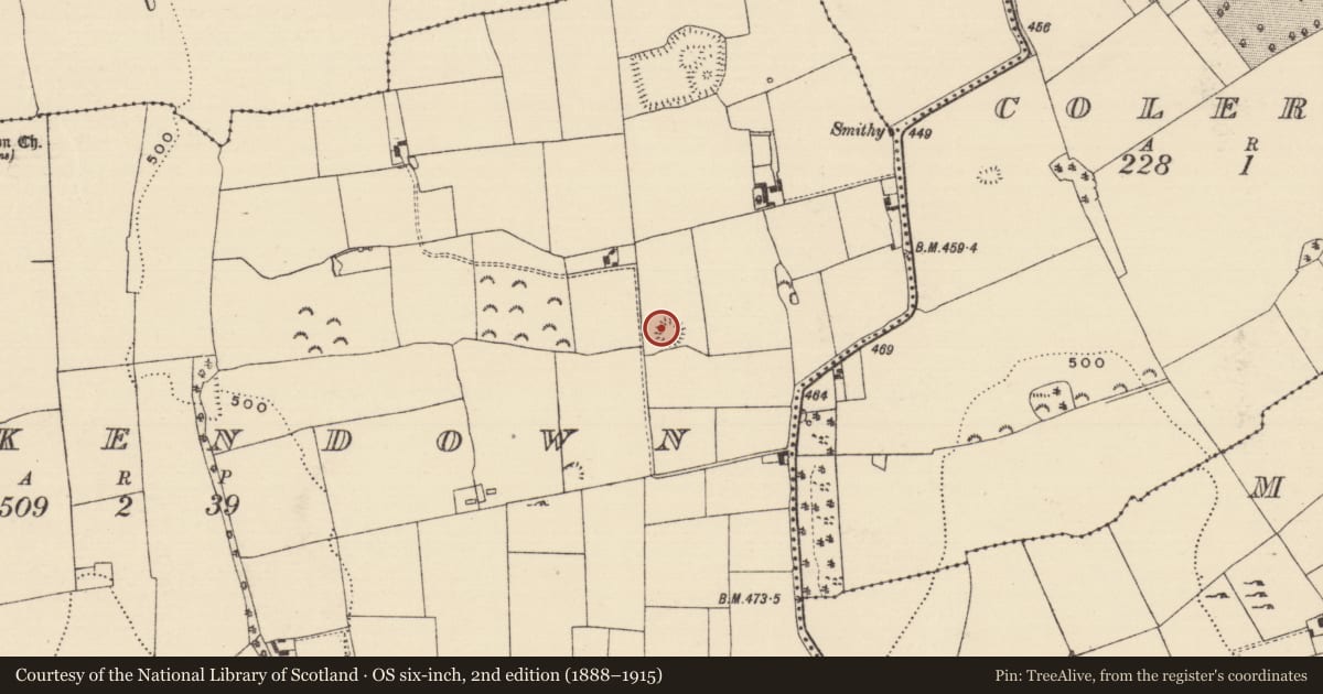 Ordnance Survey six-inch map, 2nd edition (1888–1915) covering the location of Bullaun stone, Brickendown, County Tipperary South, with a pin at the register's coordinates