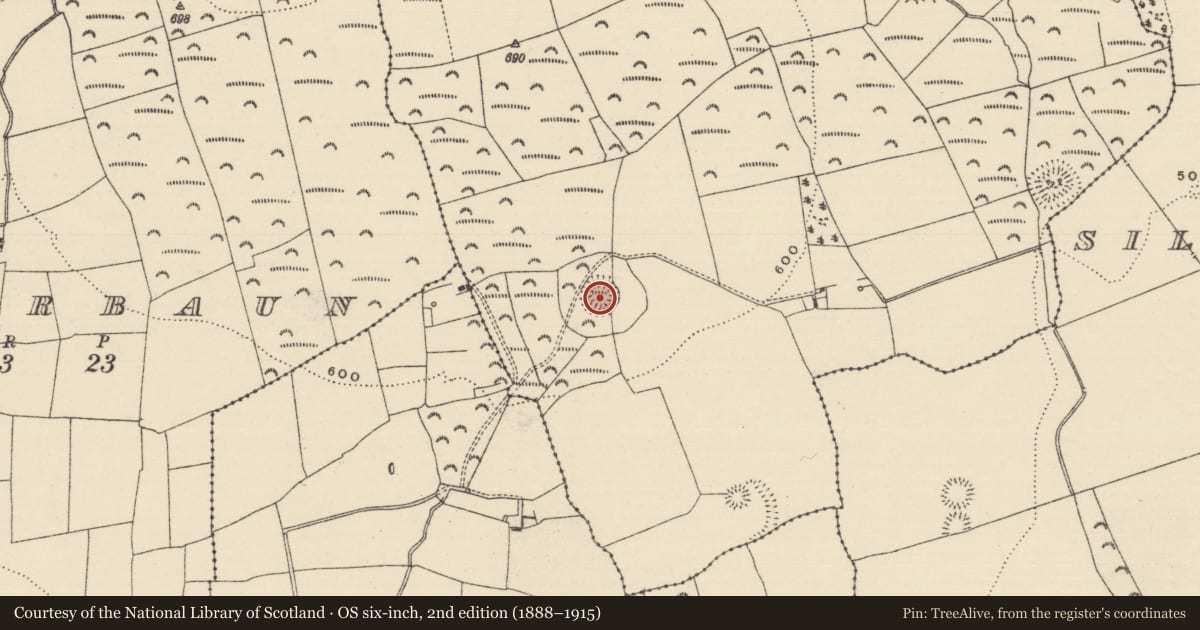 Ordnance Survey six-inch map, 2nd edition (1888–1915) covering the location of Concentric enclosure, Ballyherberry, County Tipperary South, with a pin at the register's coordinates