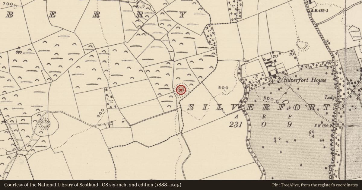 Ordnance Survey six-inch map, 2nd edition (1888–1915) covering the location of Moated site, Ballyherberry, County Tipperary South, with a pin at the register's coordinates