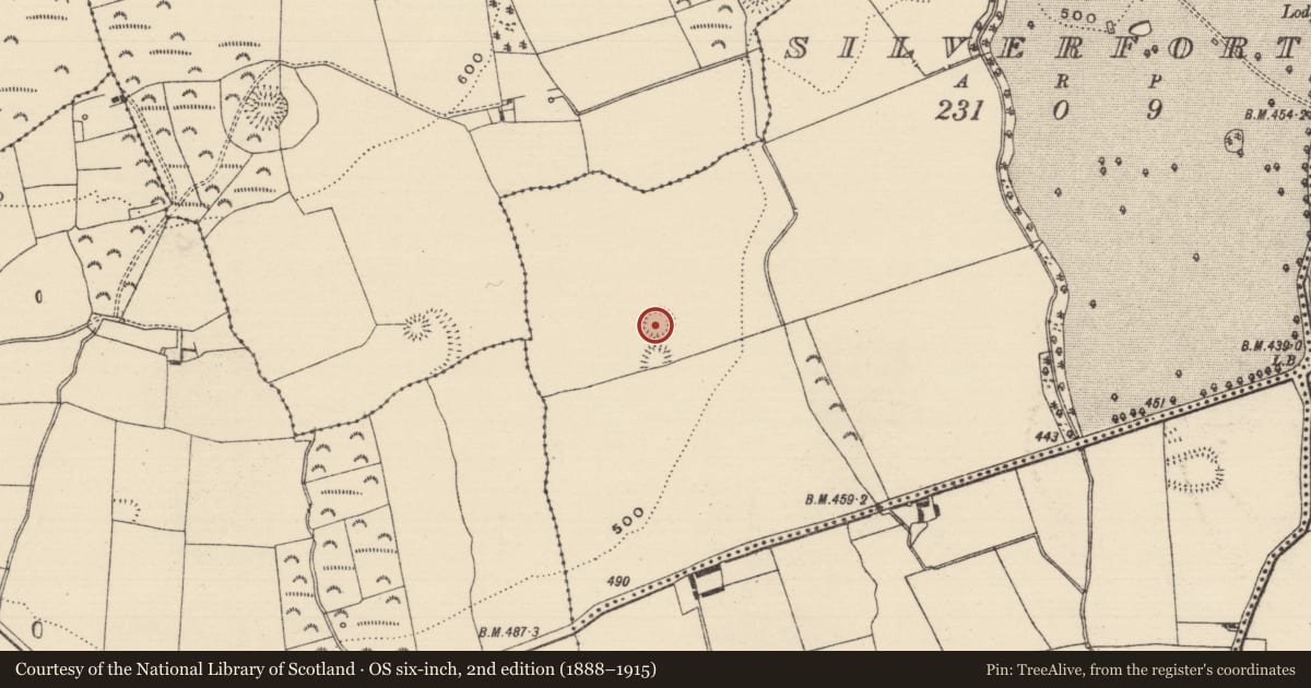 Ordnance Survey six-inch map, 2nd edition (1888–1915) covering the location of Ringfort - rath, Silverfort, County Tipperary South, with a pin at the register's coordinates