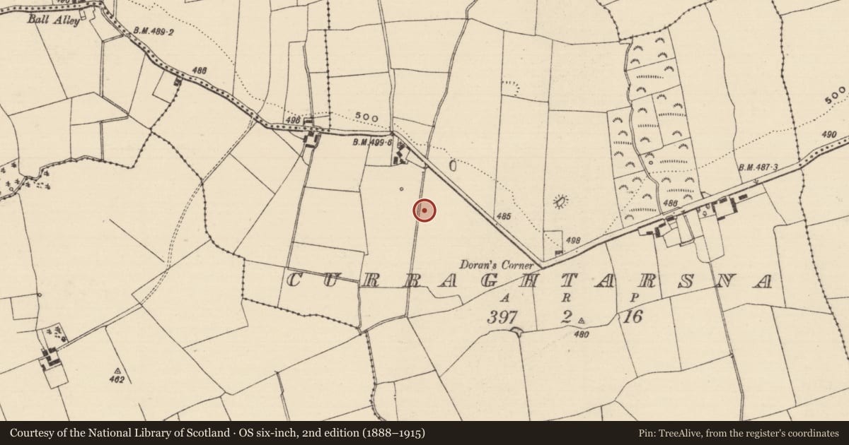 Ordnance Survey six-inch map, 2nd edition (1888–1915) covering the location of Fulacht fia, Curraghtarsna, County Tipperary South, with a pin at the register's coordinates