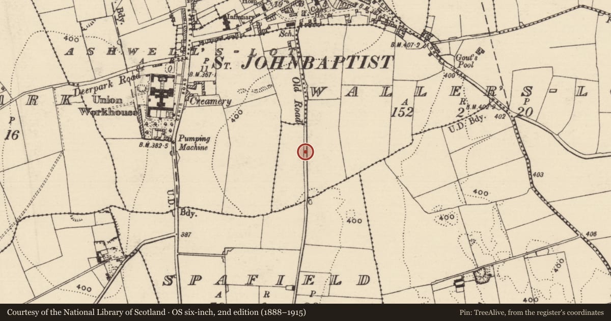Ordnance Survey six-inch map, 2nd edition (1888–1915) covering the location of Road - road/trackway, County Tipperary South, with a pin at the register's coordinates