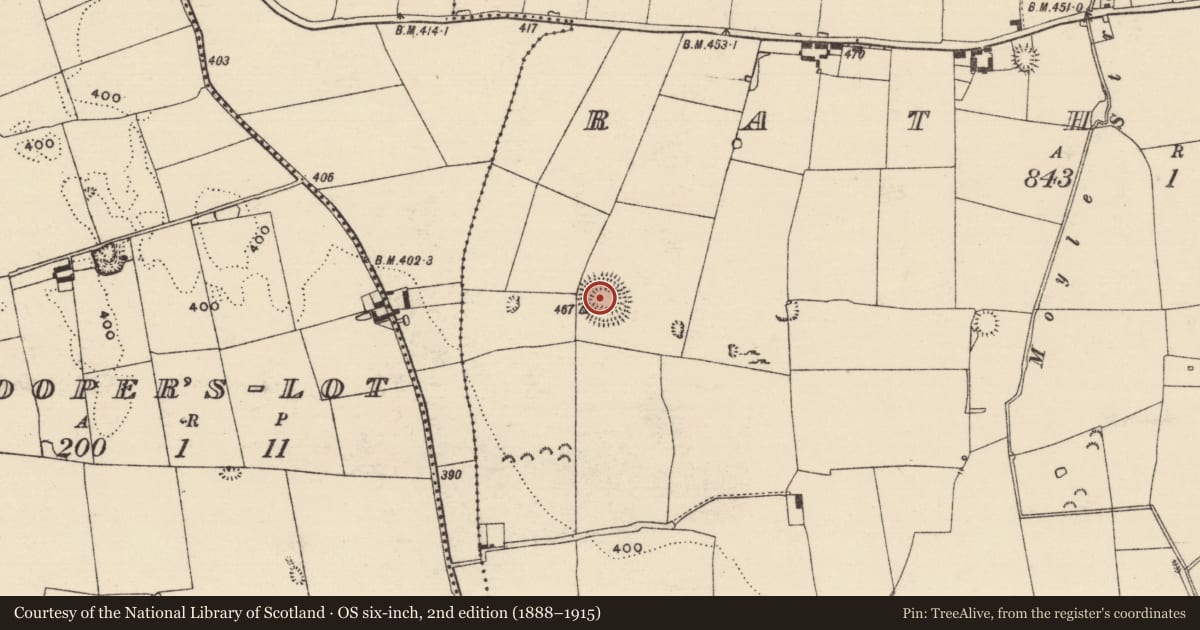 Ordnance Survey six-inch map, 2nd edition (1888–1915) covering the location of Ringfort - rath, Rathordan, County Tipperary South, with a pin at the register's coordinates