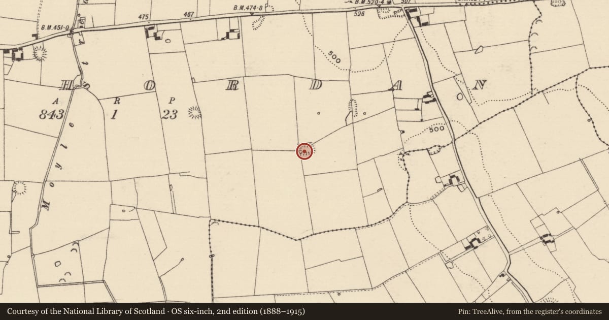 Ordnance Survey six-inch map, 2nd edition (1888–1915) covering the location of Moated site, Rathordan, County Tipperary South, with a pin at the register's coordinates