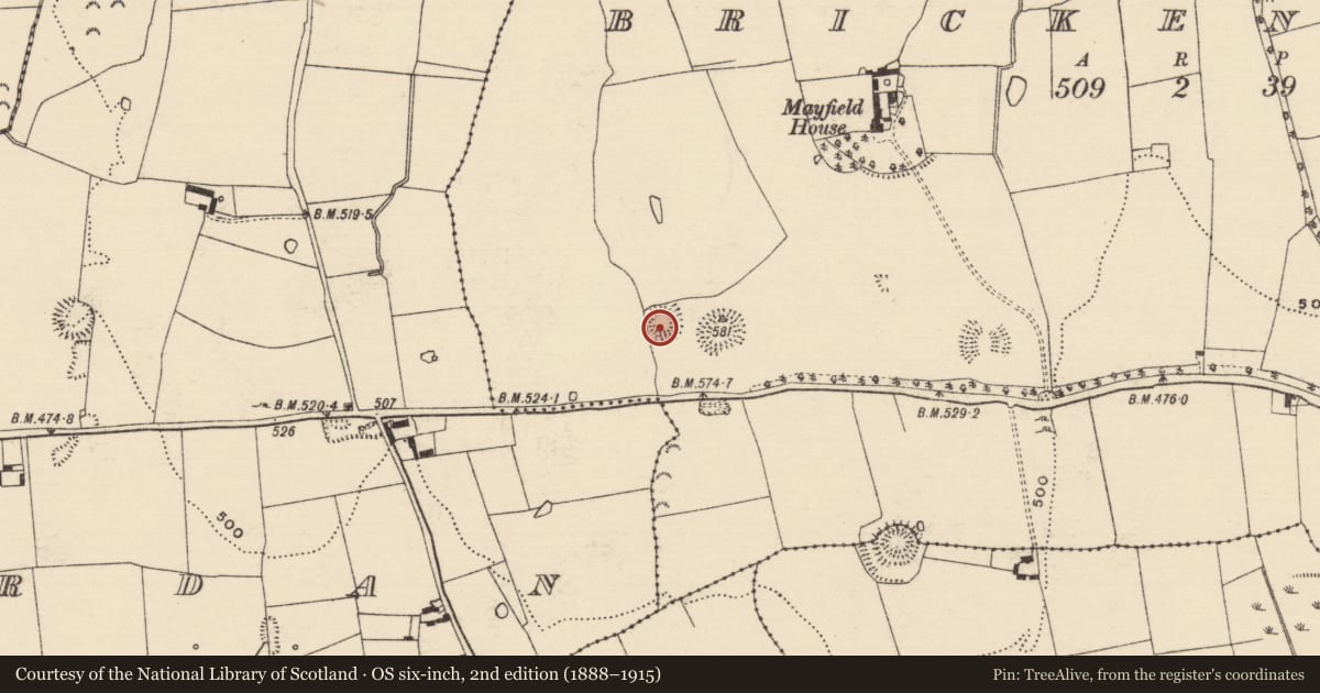 Ordnance Survey six-inch map, 2nd edition (1888–1915) covering the location of Ringfort - rath, Brickendown, County Tipperary South, with a pin at the register's coordinates