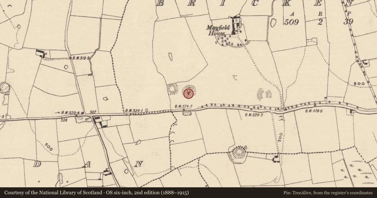 Ordnance Survey six-inch map, 2nd edition (1888–1915) covering the location of Ringfort - rath, Brickendown, County Tipperary South, with a pin at the register's coordinates