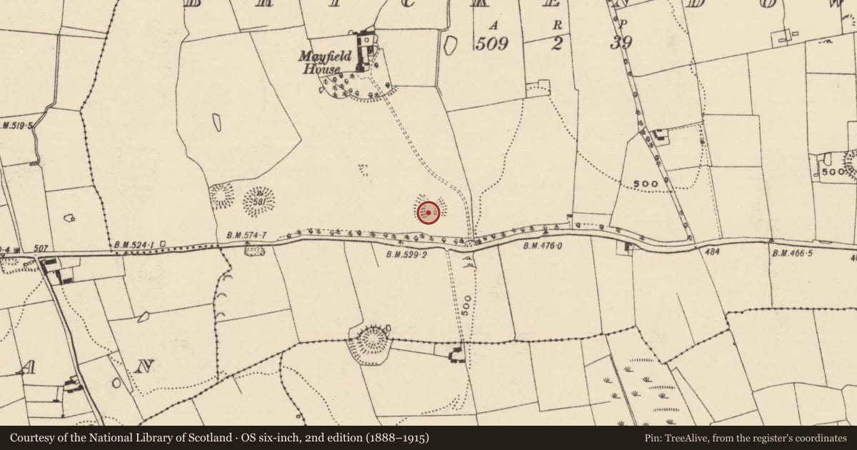 Ordnance Survey six-inch map, 2nd edition (1888–1915) covering the location of Ringfort - rath, Brickendown, County Tipperary South, with a pin at the register's coordinates