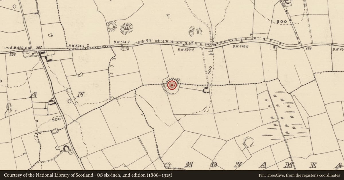 Ordnance Survey six-inch map, 2nd edition (1888–1915) covering the location of Castle - ringwork and bailey, Brickendown, Monameagh, County Tipperary South, with a pin at the register's coordinates