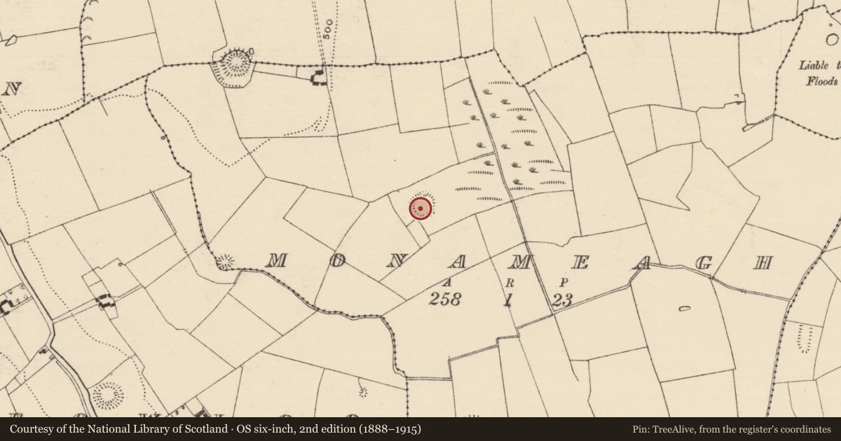 Ordnance Survey six-inch map, 2nd edition (1888–1915) covering the location of Enclosure, Monameagh, County Tipperary South, with a pin at the register's coordinates