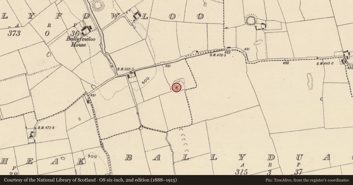 Ordnance Survey six-inch map, 2nd edition (1888–1915) covering the location of Enclosure, Ballyfowloo, County Tipperary South, with a pin at the register's coordinates