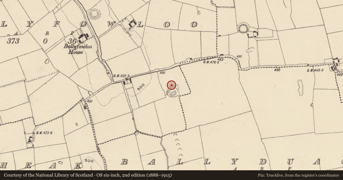 Ordnance Survey six-inch map, 2nd edition (1888–1915) covering the location of Enclosure, Ballyfowloo, County Tipperary South, with a pin at the register's coordinates