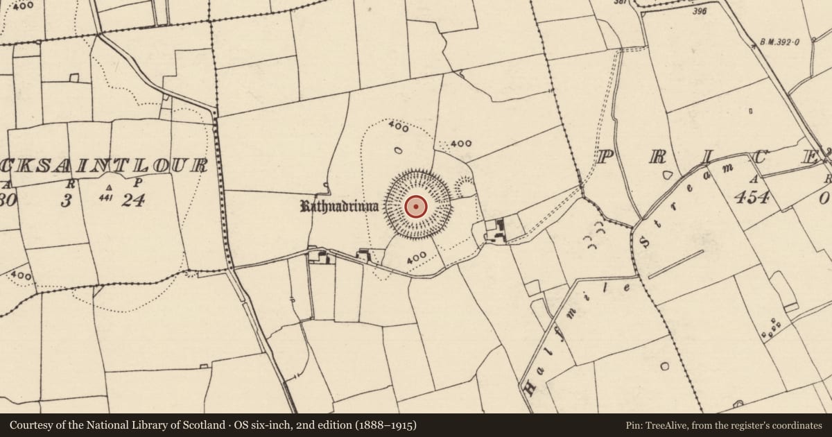 Ordnance Survey six-inch map, 2nd edition (1888–1915) covering the location of Ringfort - rath, Lalor'S-Lot, County Tipperary South, with a pin at the register's coordinates