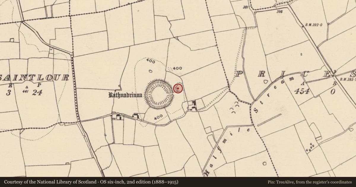 Ordnance Survey six-inch map, 2nd edition (1888–1915) covering the location of Enclosure, Lalor'S-Lot, County Tipperary South, with a pin at the register's coordinates