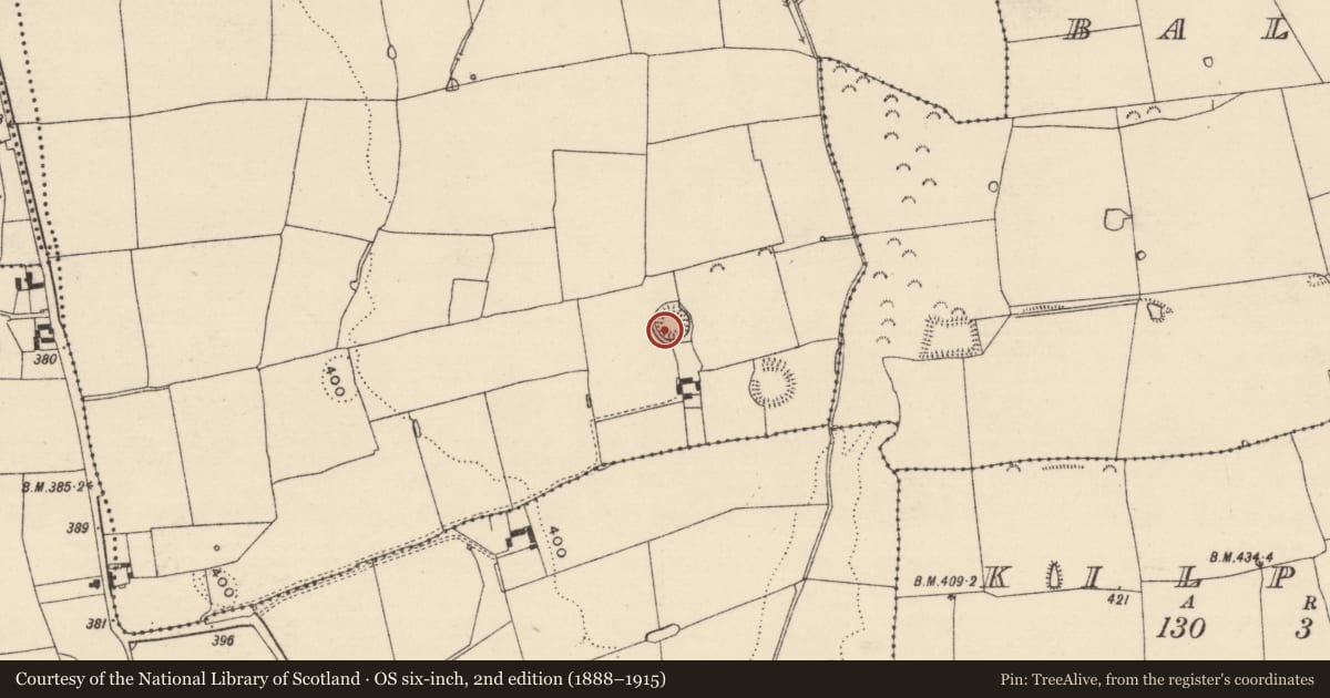 Ordnance Survey six-inch map, 2nd edition (1888–1915) covering the location of Enclosure, Rathordan, County Tipperary South, with a pin at the register's coordinates
