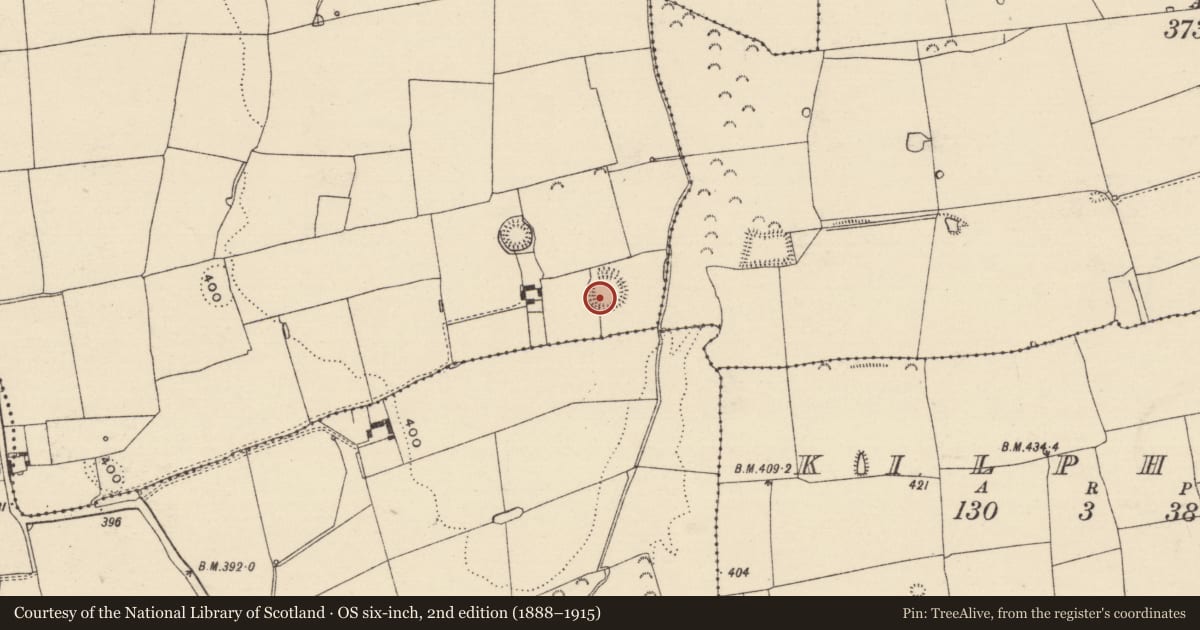 Ordnance Survey six-inch map, 2nd edition (1888–1915) covering the location of Ringfort - rath, Rathordan, County Tipperary South, with a pin at the register's coordinates