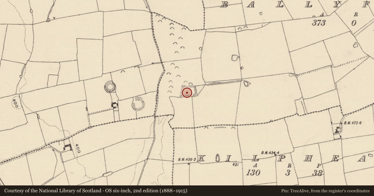 Ordnance Survey six-inch map, 2nd edition (1888–1915) covering the location of Moated site, Ballyfowloo, County Tipperary South, with a pin at the register's coordinates