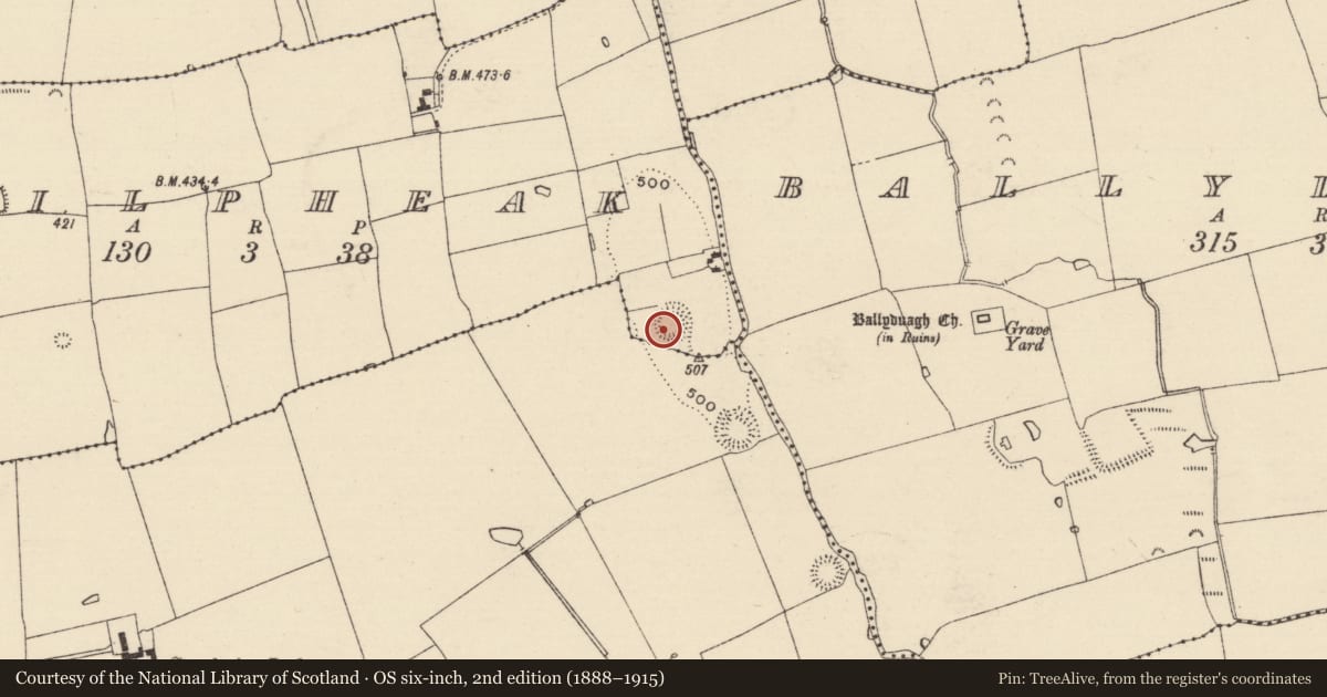 Ordnance Survey six-inch map, 2nd edition (1888–1915) covering the location of Ringfort - rath, Kilpheak, County Tipperary South, with a pin at the register's coordinates