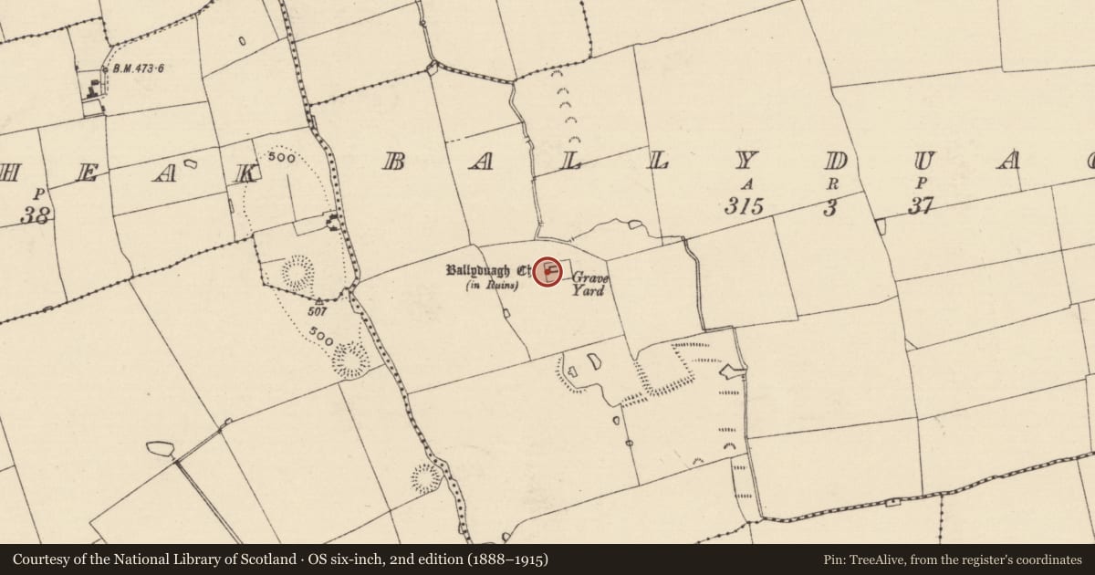 Ordnance Survey six-inch map, 2nd edition (1888–1915) covering the location of Church, Ballyduagh (Railstown Par.), County Tipperary South, with a pin at the register's coordinates