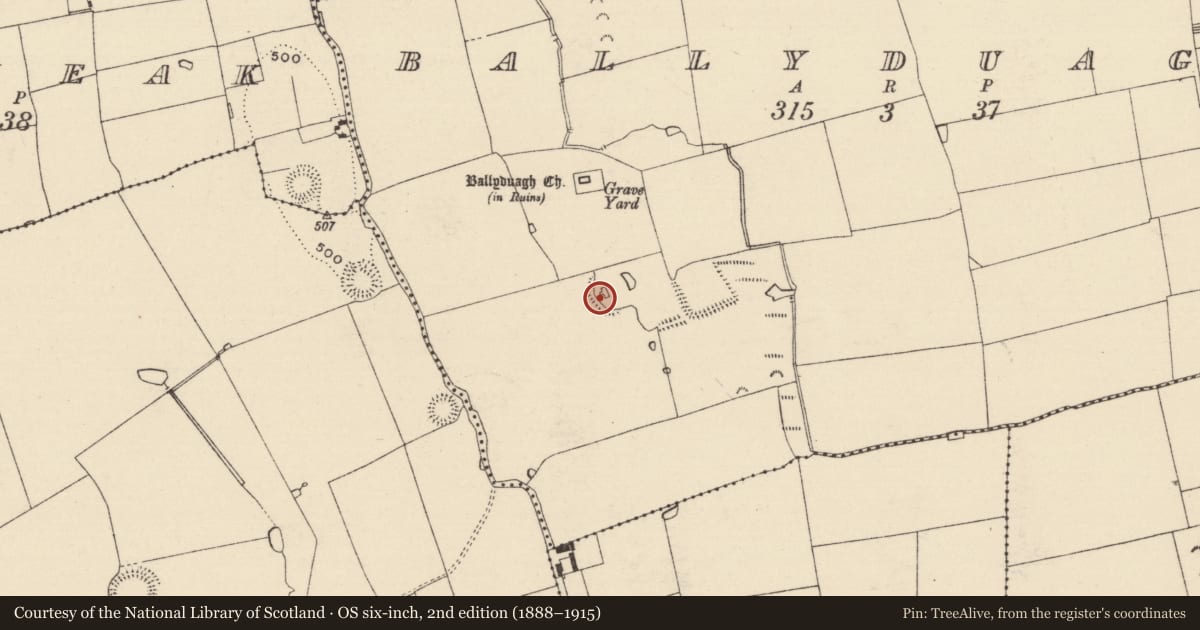 Ordnance Survey six-inch map, 2nd edition (1888–1915) covering the location of House - 17th century, Ballyduagh (Railstown Par.), County Tipperary South, with a pin at the register's coordinates