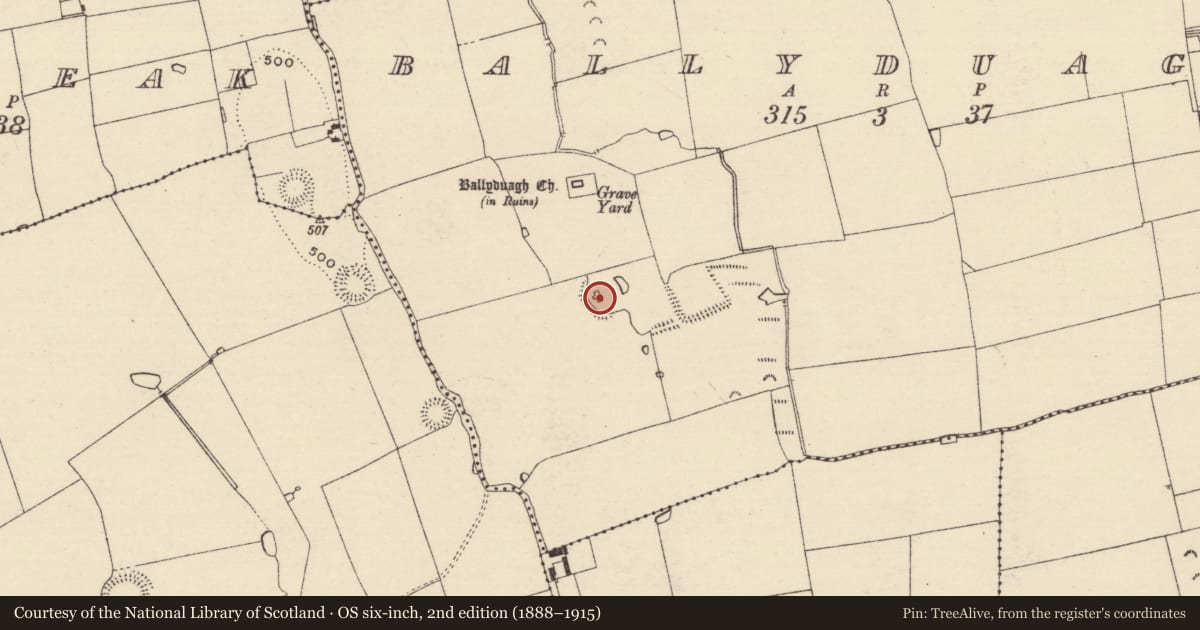 Ordnance Survey six-inch map, 2nd edition (1888–1915) covering the location of Bawn, Ballyduagh (Railstown Par.), County Tipperary South, with a pin at the register's coordinates