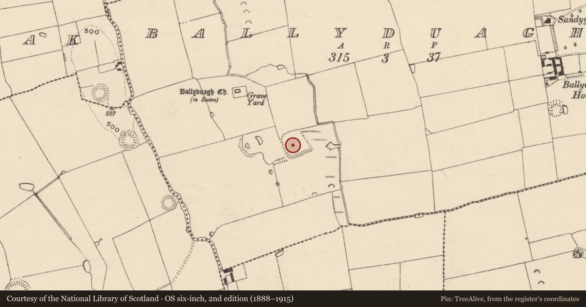 Ordnance Survey six-inch map, 2nd edition (1888–1915) covering the location of Moated site, Ballyduagh (Railstown Par.), County Tipperary South, with a pin at the register's coordinates