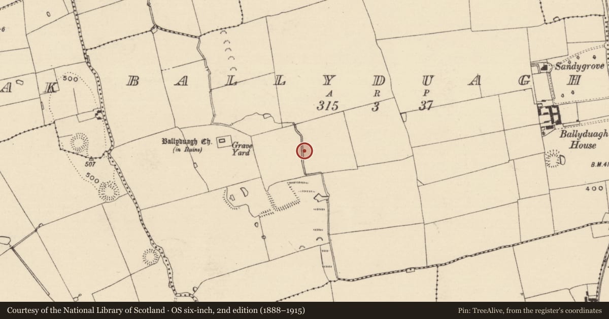 Ordnance Survey six-inch map, 2nd edition (1888–1915) covering the location of Cultivation ridges, Ballyduagh (Railstown Par.), County Tipperary South, with a pin at the register's coordinates