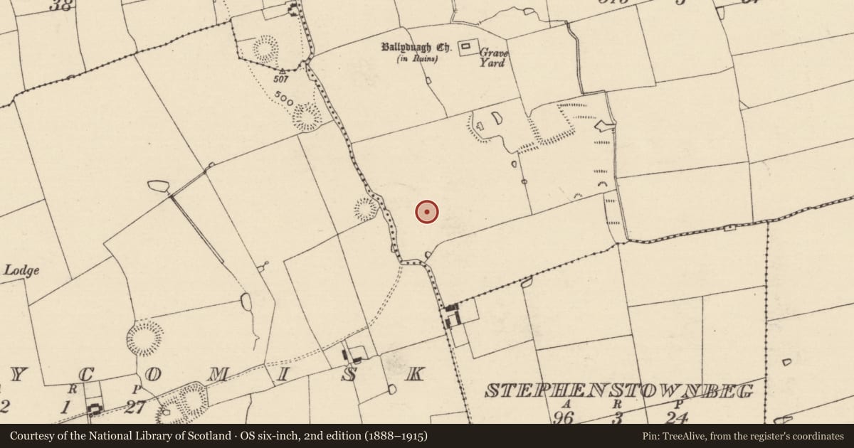 Ordnance Survey six-inch map, 2nd edition (1888–1915) covering the location of Road - hollow-way, Ballyduagh (Railstown Par.), County Tipperary South, with a pin at the register's coordinates