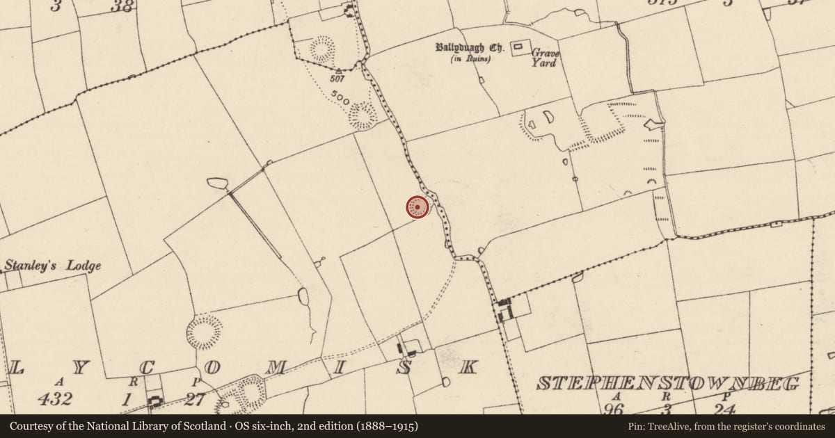 Ordnance Survey six-inch map, 2nd edition (1888–1915) covering the location of Ringfort - rath, Ballycomisk, County Tipperary South, with a pin at the register's coordinates
