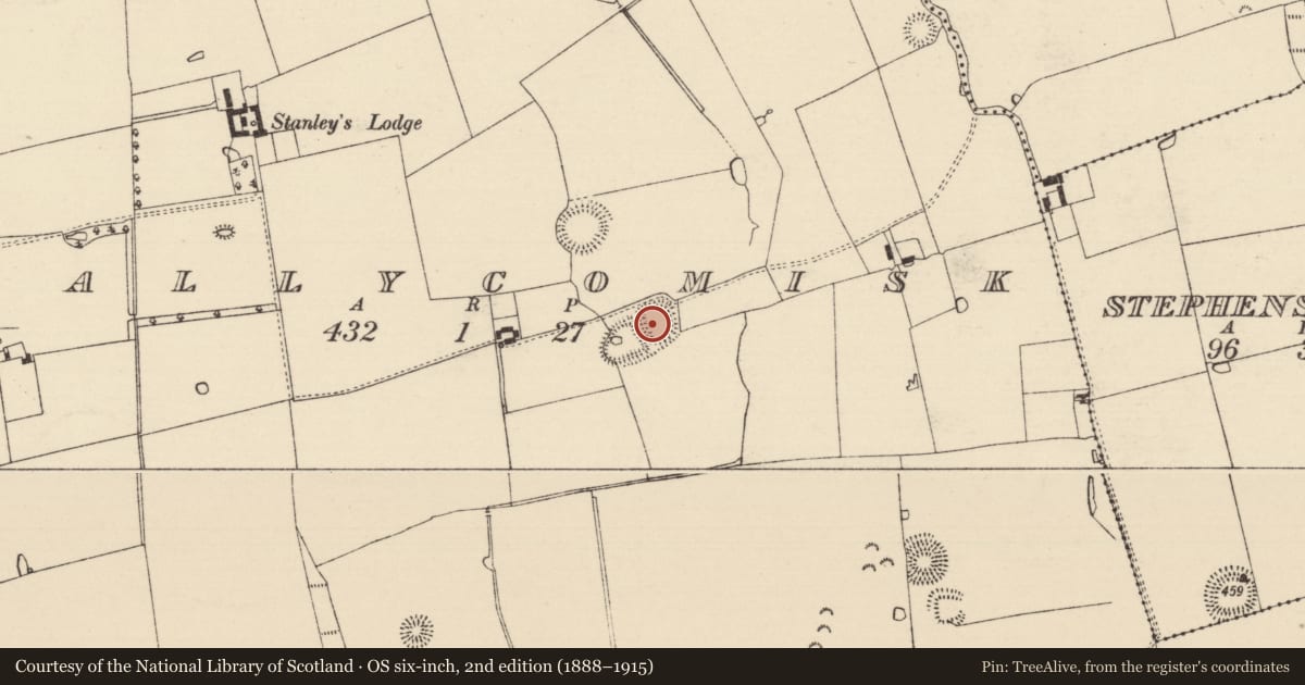 Ordnance Survey six-inch map, 2nd edition (1888–1915) covering the location of Moated site, Ballycomisk, County Tipperary South, with a pin at the register's coordinates