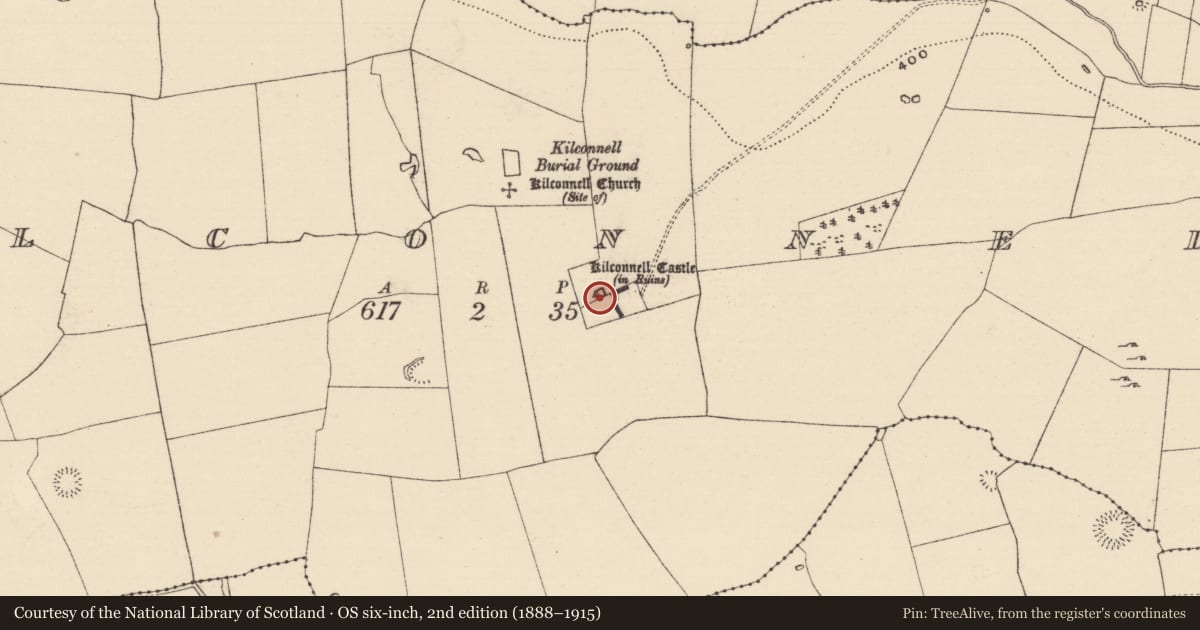 Ordnance Survey six-inch map, 2nd edition (1888–1915) covering the location of Castle - tower house, Kilconnell, County Tipperary South, with a pin at the register's coordinates