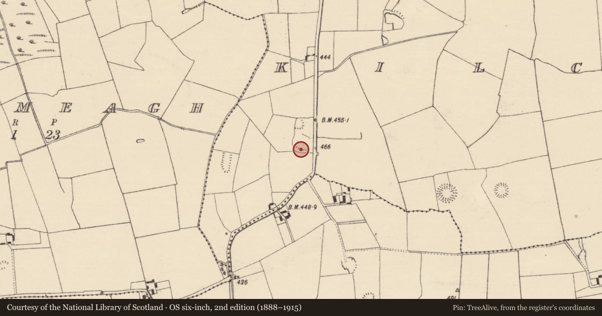 Ordnance Survey six-inch map, 2nd edition (1888–1915) covering the location of Mound, Kilconnell, County Tipperary South, with a pin at the register's coordinates