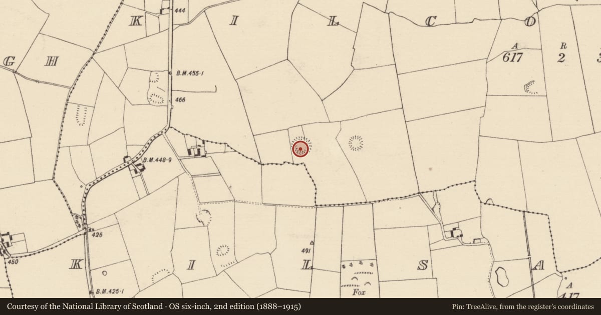 Ordnance Survey six-inch map, 2nd edition (1888–1915) covering the location of Ringfort - rath, Kilconnell, County Tipperary South, with a pin at the register's coordinates