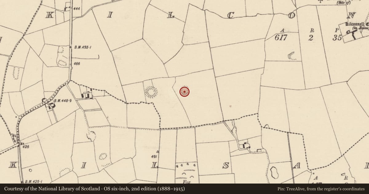 Ordnance Survey six-inch map, 2nd edition (1888–1915) covering the location of Ringfort - rath, Kilconnell, County Tipperary South, with a pin at the register's coordinates