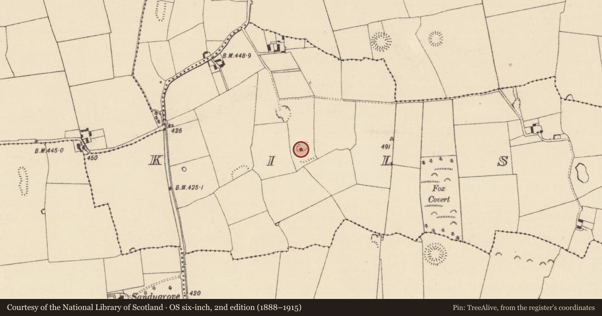 Ordnance Survey six-inch map, 2nd edition (1888–1915) covering the location of Enclosure, Kilsallagh, County Tipperary South, with a pin at the register's coordinates