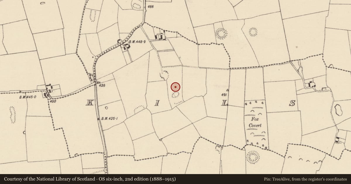 Ordnance Survey six-inch map, 2nd edition (1888–1915) covering the location of Enclosure, Kilsallagh, County Tipperary South, with a pin at the register's coordinates