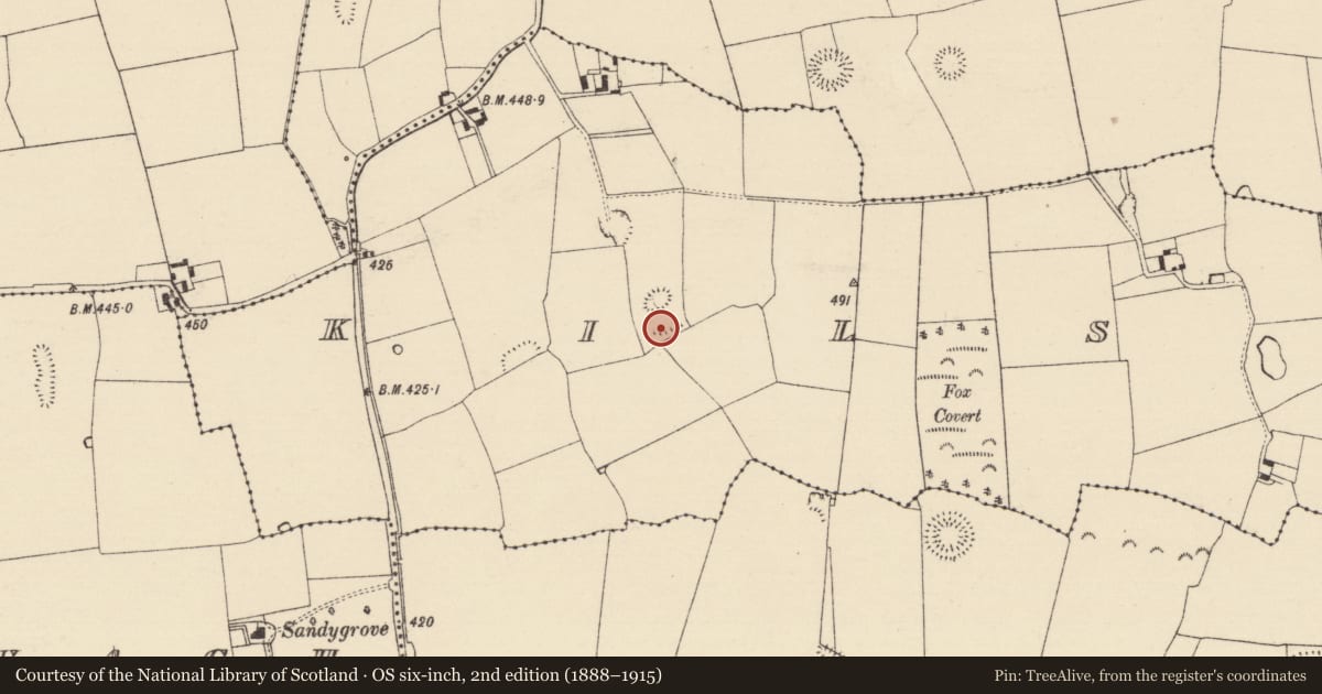 Ordnance Survey six-inch map, 2nd edition (1888–1915) covering the location of Enclosure, Kilsallagh, County Tipperary South, with a pin at the register's coordinates