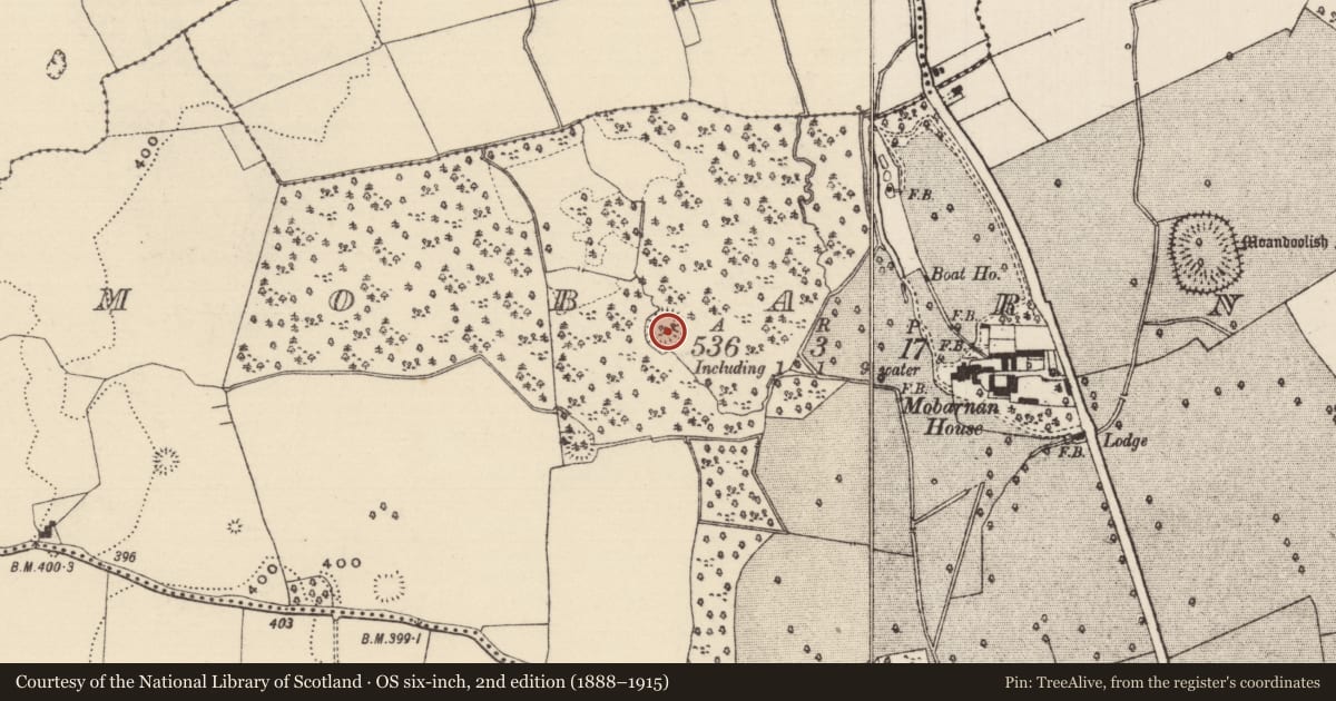 Ordnance Survey six-inch map, 2nd edition (1888–1915) covering the location of Ringfort - rath, Mobarnan, County Tipperary South, with a pin at the register's coordinates