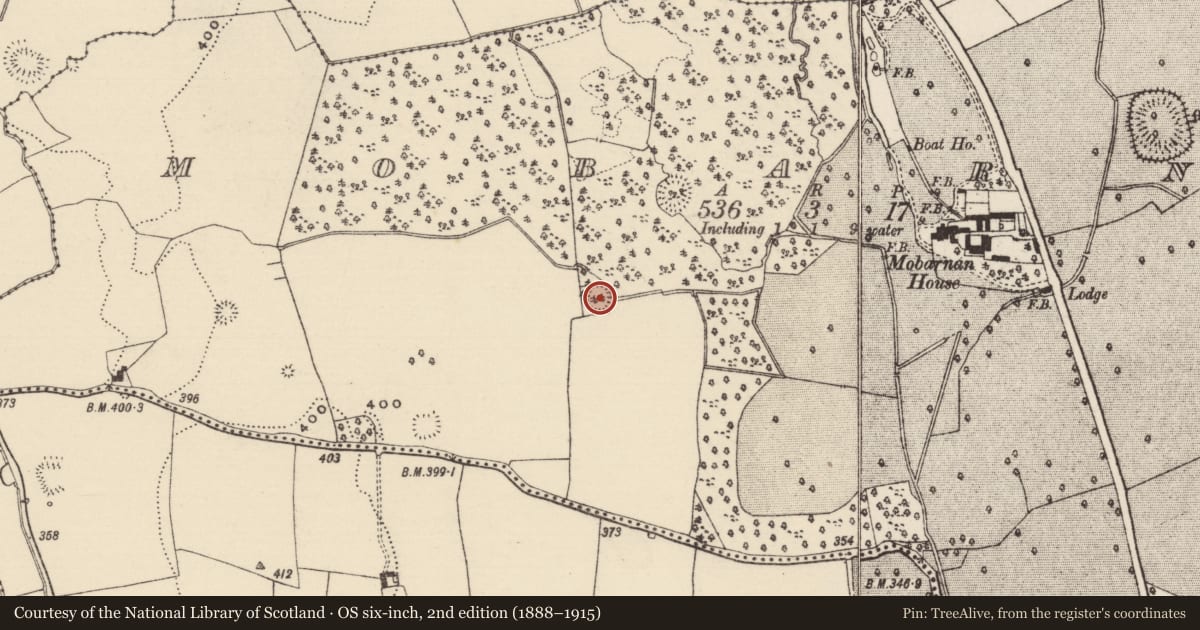 Ordnance Survey six-inch map, 2nd edition (1888–1915) covering the location of Ringfort - rath, Mobarnan, County Tipperary South, with a pin at the register's coordinates