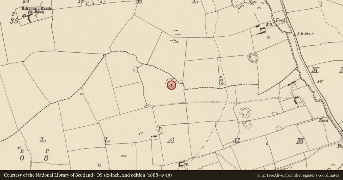 Ordnance Survey six-inch map, 2nd edition (1888–1915) covering the location of Ringfort - rath, Kilconnell, Kilsallagh, County Tipperary South, with a pin at the register's coordinates