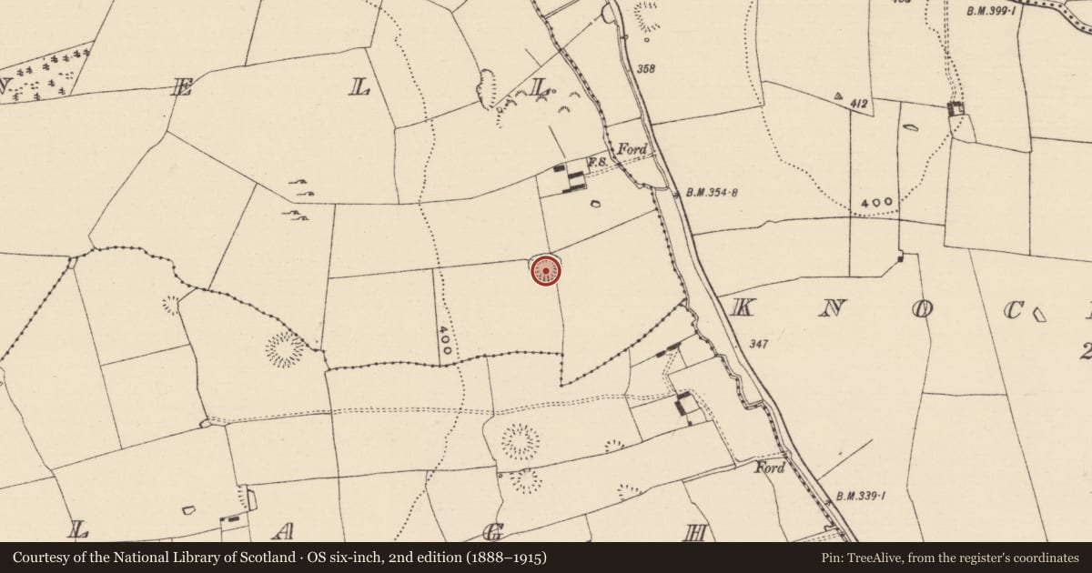 Ordnance Survey six-inch map, 2nd edition (1888–1915) covering the location of Ringfort - rath, Kilconnell, County Tipperary South, with a pin at the register's coordinates