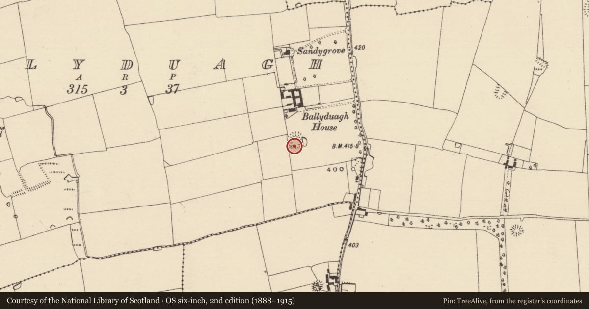 Ordnance Survey six-inch map, 2nd edition (1888–1915) covering the location of Ringfort - rath, Ballyduagh (Railstown Par.), County Tipperary South, with a pin at the register's coordinates