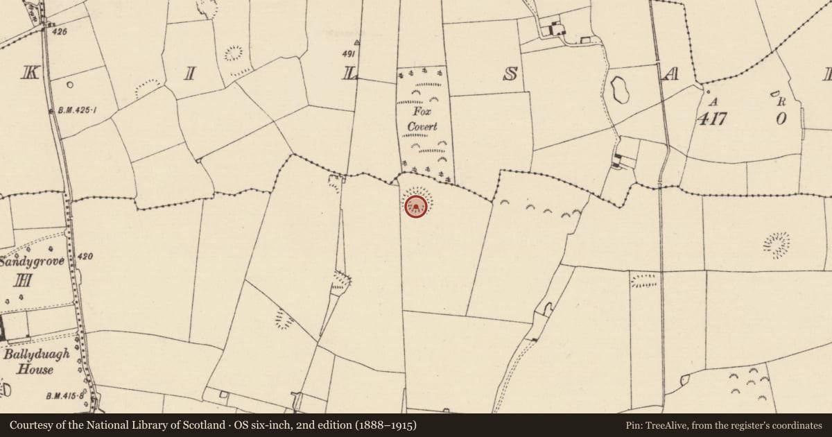 Ordnance Survey six-inch map, 2nd edition (1888–1915) covering the location of Barrow - ring-barrow, Railstown (Railstown Par.), County Tipperary South, with a pin at the register's coordinates