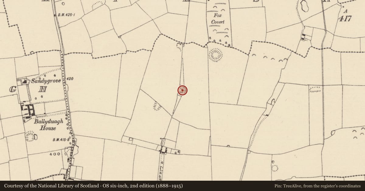 Ordnance Survey six-inch map, 2nd edition (1888–1915) covering the location of Enclosure, Railstown (Railstown Par.), County Tipperary South, with a pin at the register's coordinates