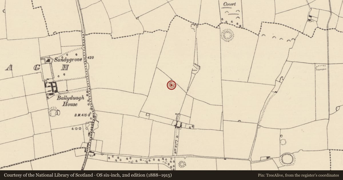 Ordnance Survey six-inch map, 2nd edition (1888–1915) covering the location of Ringfort - rath, Railstown (Railstown Par.), County Tipperary South, with a pin at the register's coordinates
