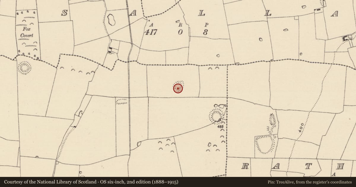 Ordnance Survey six-inch map, 2nd edition (1888–1915) covering the location of Enclosure, Railstown (Kilconnell Par.), County Tipperary South, with a pin at the register's coordinates