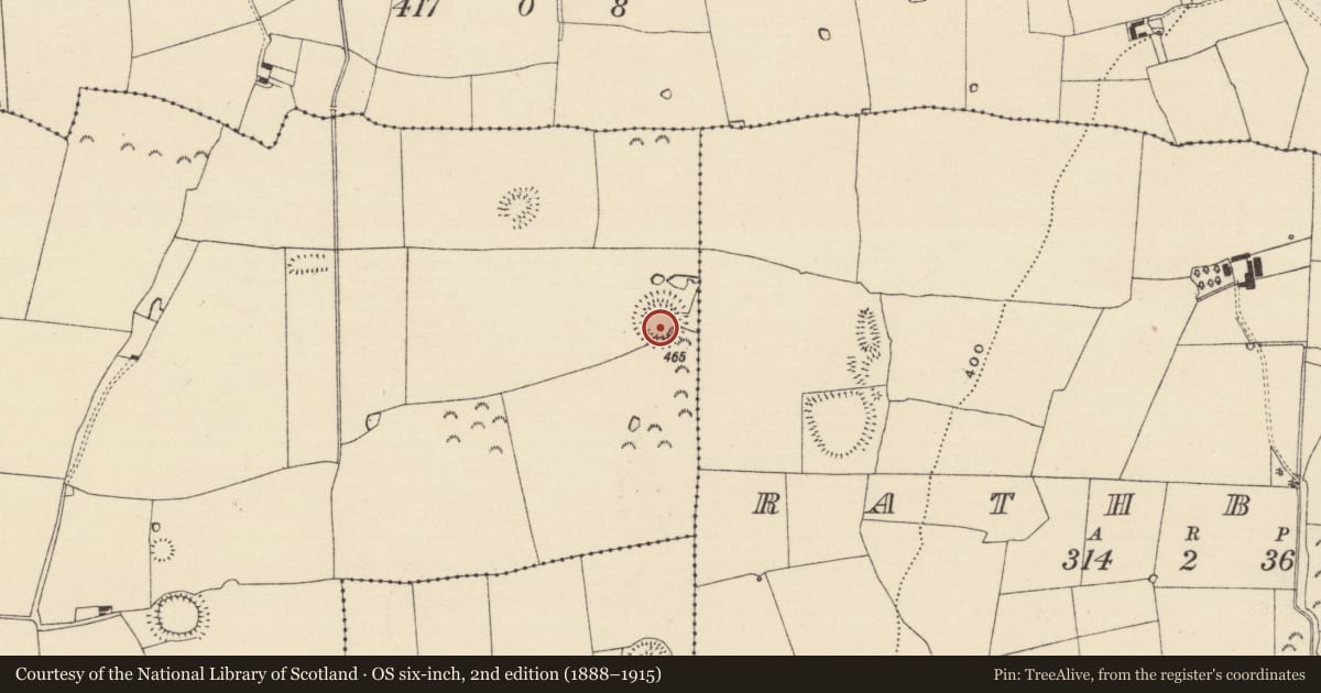 Ordnance Survey six-inch map, 2nd edition (1888–1915) covering the location of Ringfort - rath, Railstown (Kilconnell Par.), County Tipperary South, with a pin at the register's coordinates